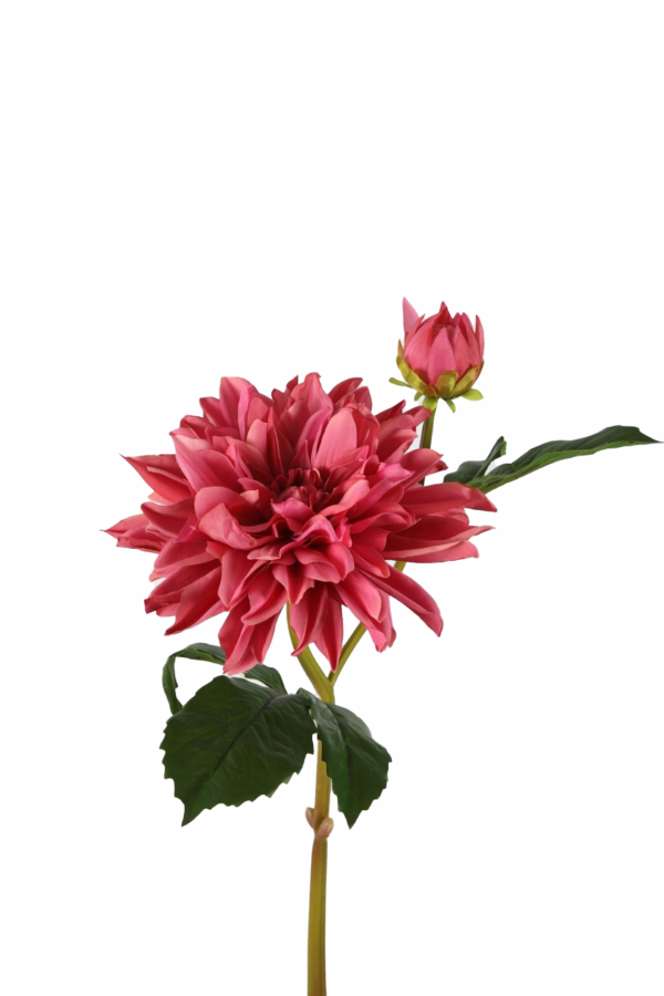 Dahlia spray roze 75 cm