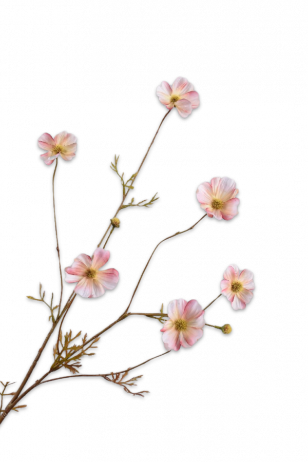 Cosmos tak roze 77 cm Silk-ka