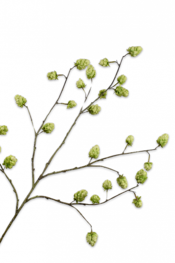 Hop tak groen Silk-ka - H112 cm