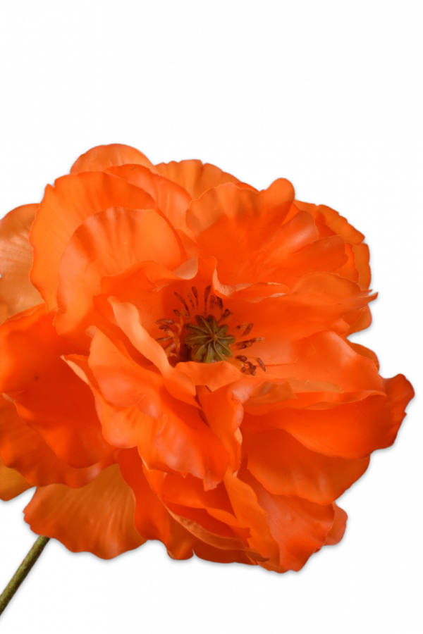 Klaproos oranje Silk-ka Real Touch - H73 cm