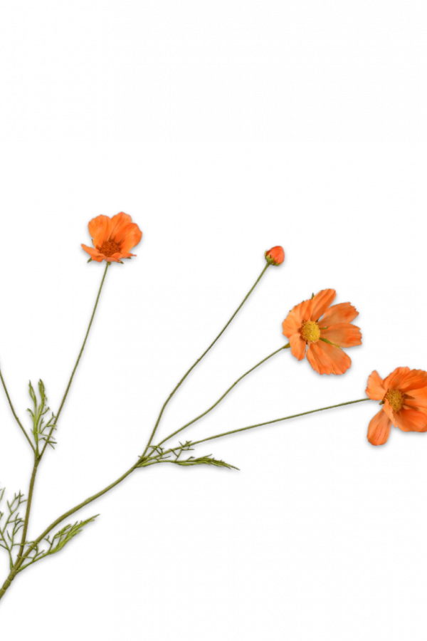 Cosmos licht oranje Silk-ka Real Touch - H92 cm