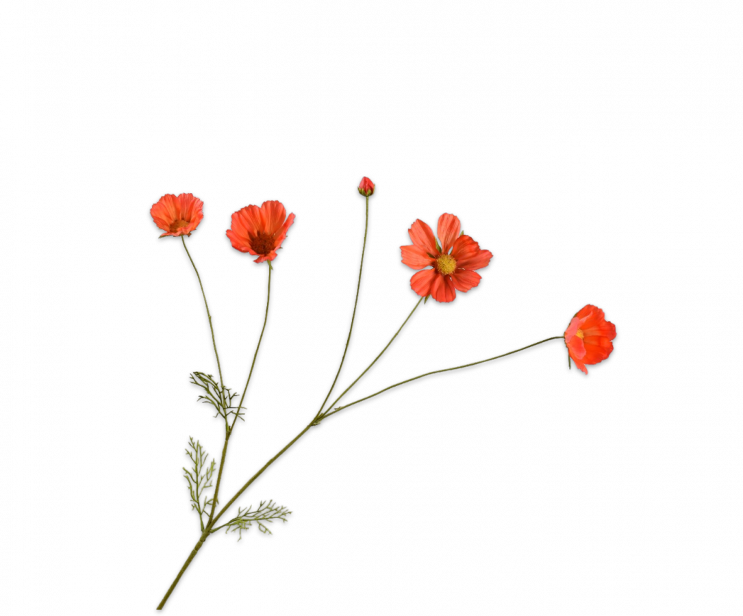 Cosmos donker oranje Silk-ka Real Touch - H92 cm