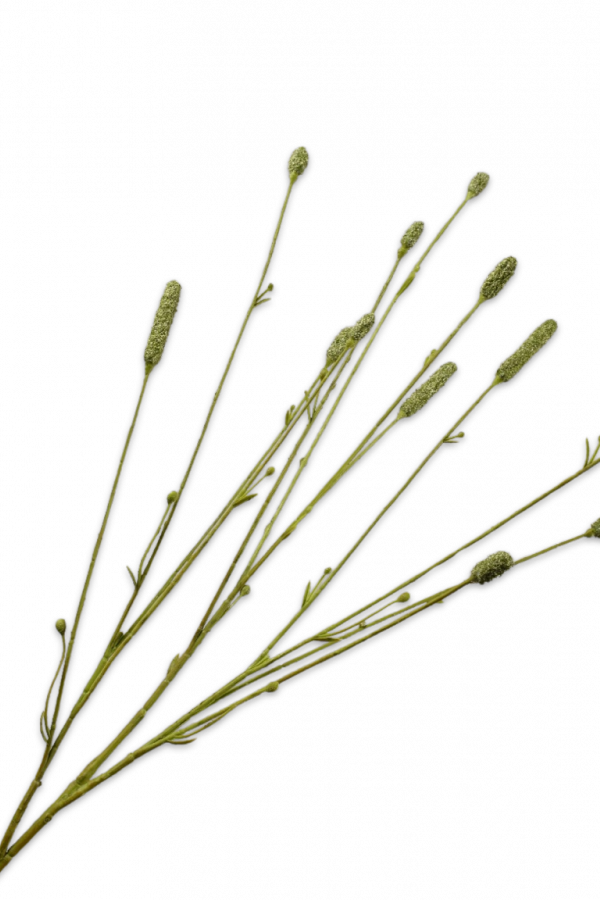 Pimpernel tak groen Silk-ka - H84 cm