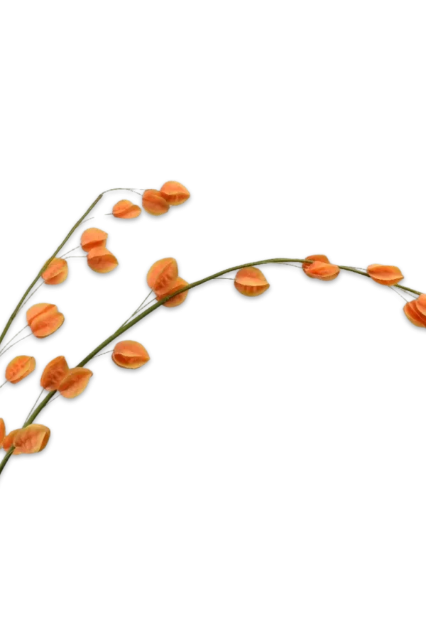 klokjes bloem