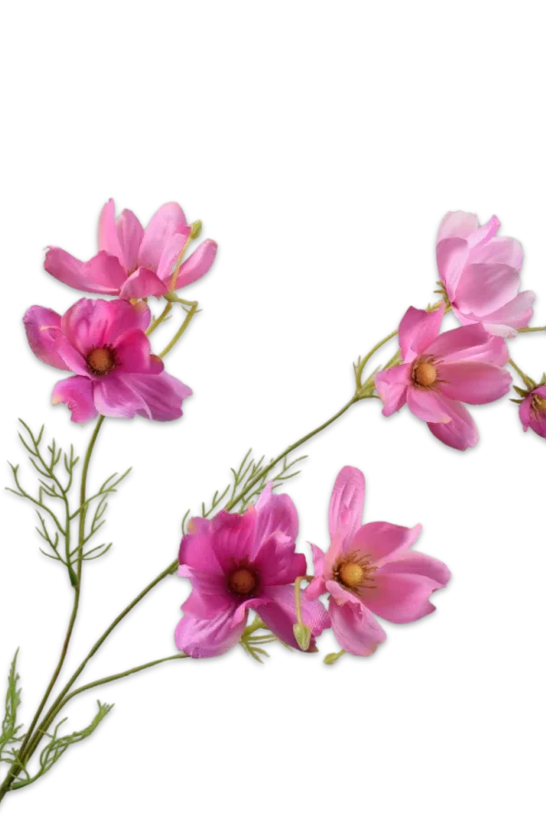 Cosmos tak roze - Silk-ka - H56 cm