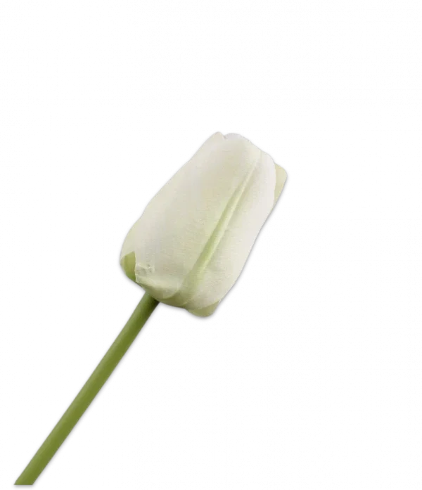 Witte tulp - Silk-ka - H64 cm