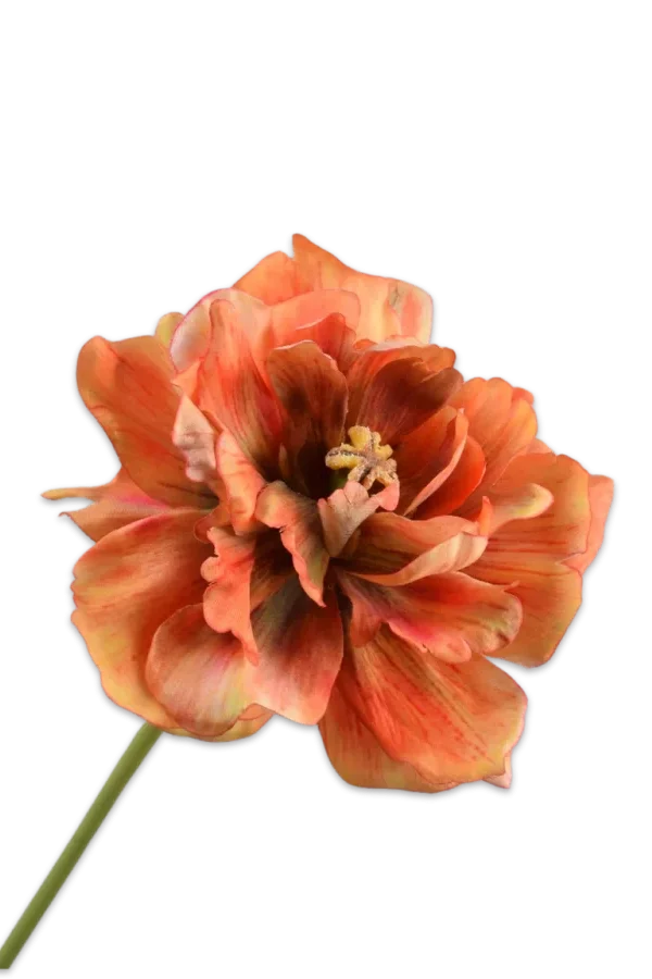 oranje tulp silk-ka