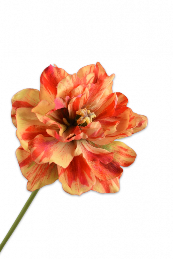 Tulp geel/rood Silk-ka H69 cm