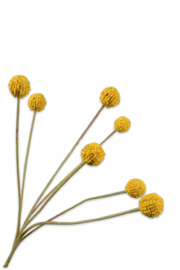 Distel tak geel Silk-ka - H60 cm