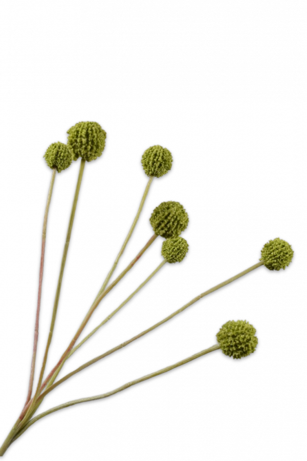 Distel tak groen Silk-ka - H60 cm