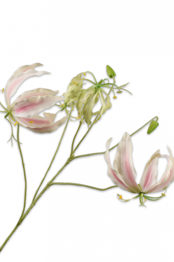 Gloriosa licht roze Silk-ka - H89 cm