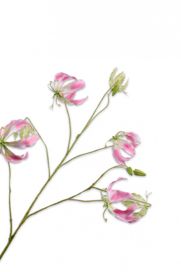 Gloriosa roze Silk-ka - H110 cm