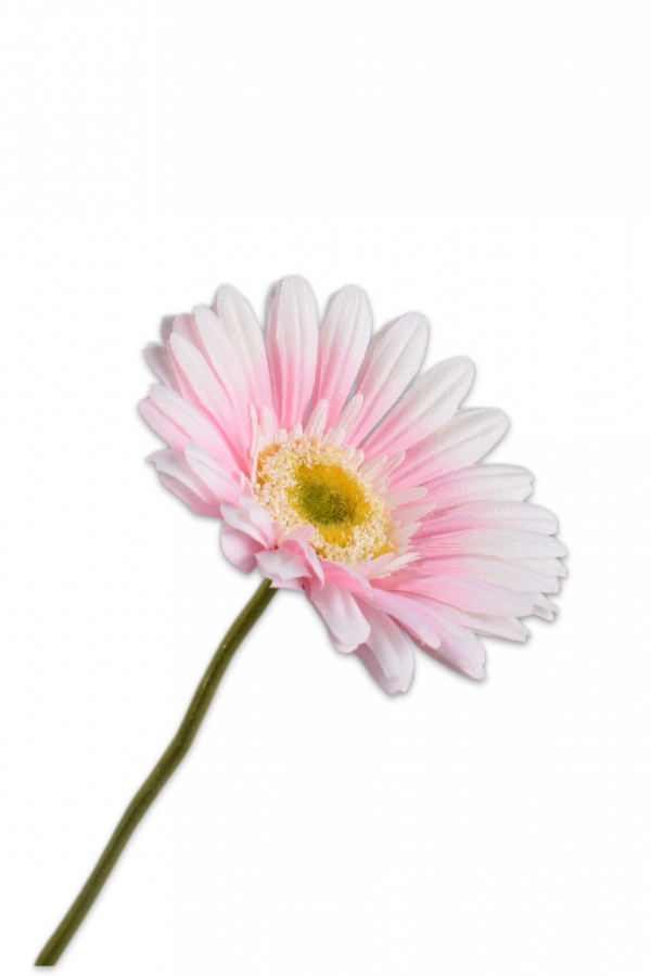 Gerbera licht roze Silk-ka - H61 cm