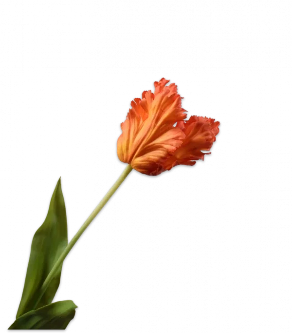 Oranje rood tulp - Silk-ka Real Touch - H71 cm