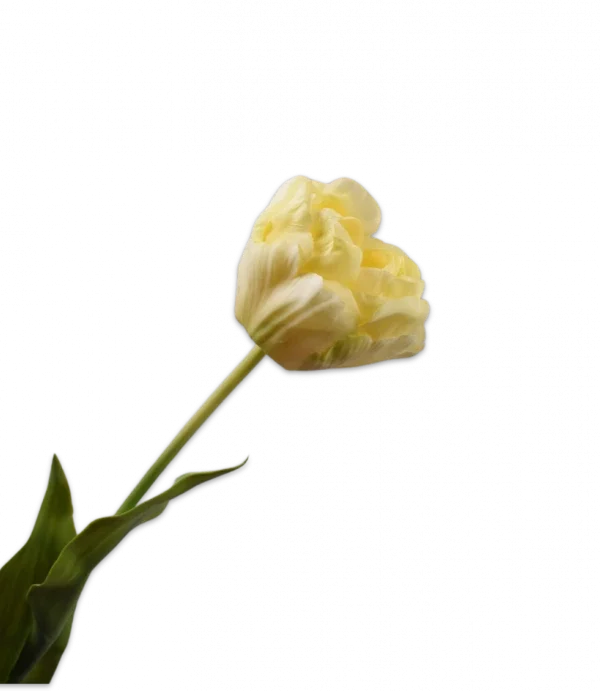 Gele tulp - Silk-ka Real Touch - H66 cm