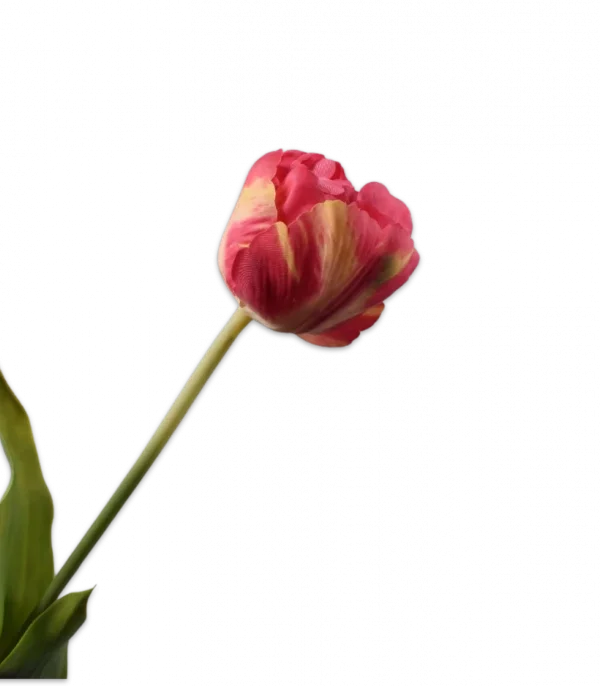 Roze tulp - Silk-ka Real Touch - H66 cm