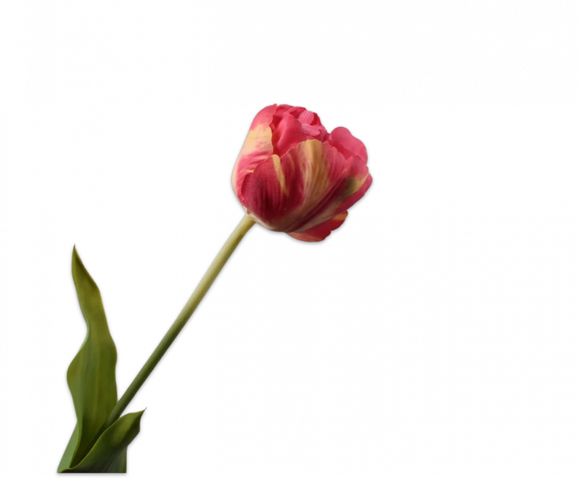Roze tulp - Silk-ka Real Touch - H66 cm