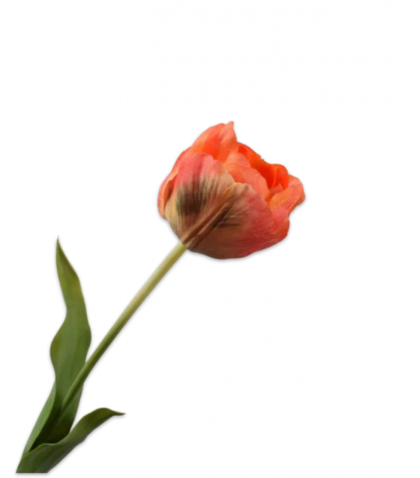 Oranje tulp - Silk-ka Real Touch - H66 cm