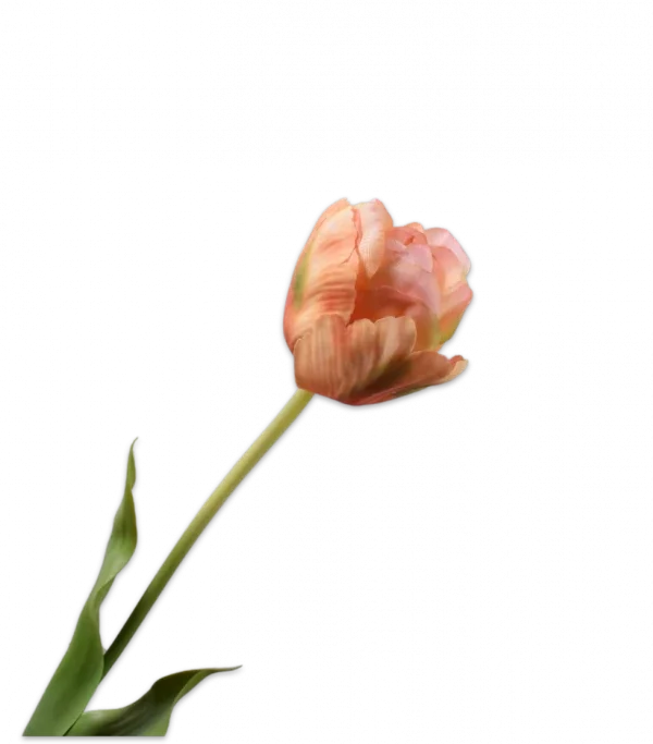 Perzik groene tulp - Silk-ka Real Touch - H66 cm