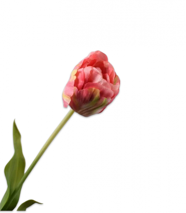Roze gele tulp - Silk-ka Real Touch - H66 cm