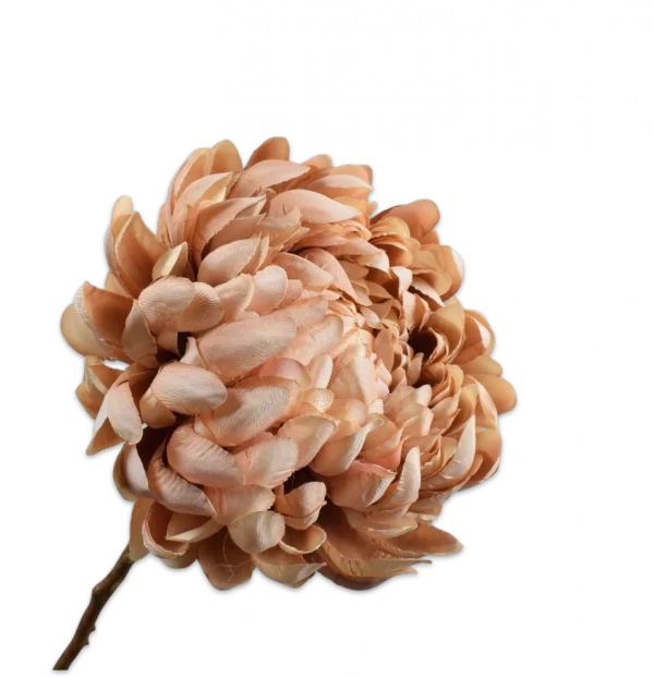 Chrysant beige roze Silk-ka - H64 cm