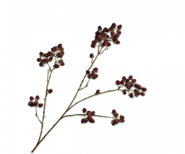 bramentak rood