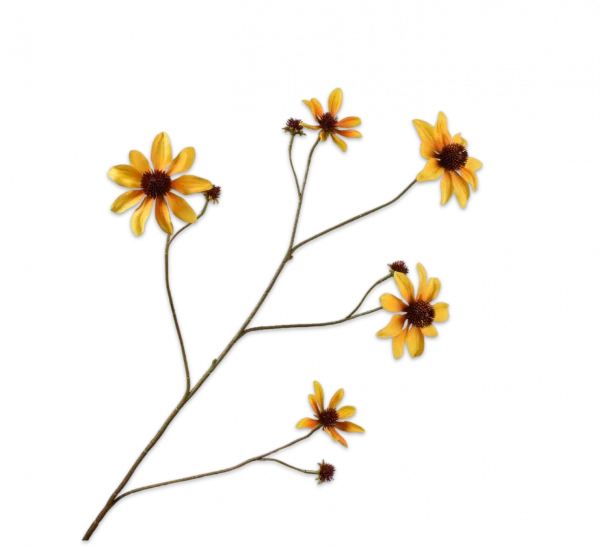 Rudbeckia geel Silk-ka - H91 cm