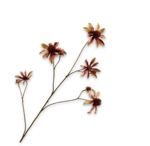 Rudbeckia geel bruin Silk-ka - 91 cm