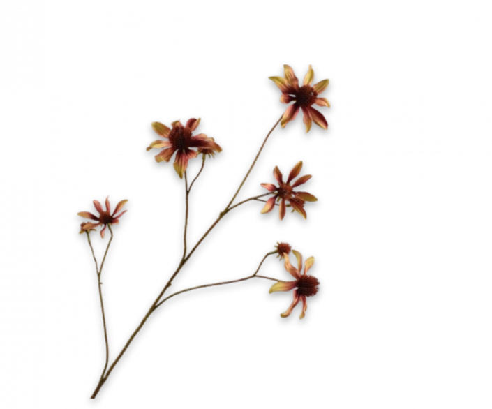 Rudbeckia geel bruin Silk-ka - 91 cm