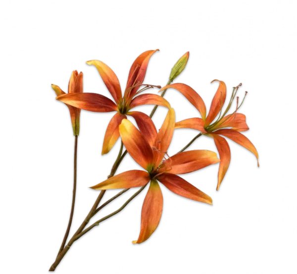 Lelie oranje Silk-ka - H80 cm