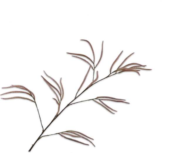 Gras tak roze Silk-ka - H131 cm