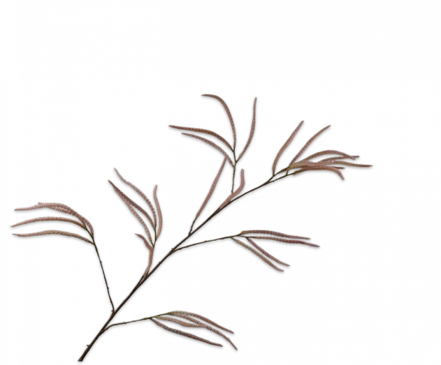 Gras tak roze Silk-ka - H131 cm
