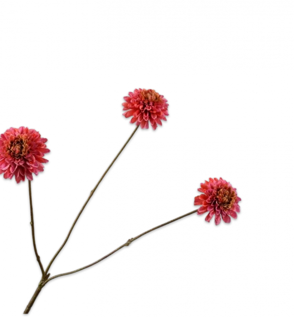 Dahlia tak roze Silk-ka - H65 cm