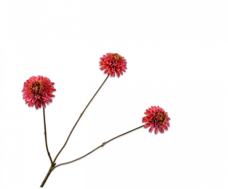 Dahlia tak roze Silk-ka - H65 cm