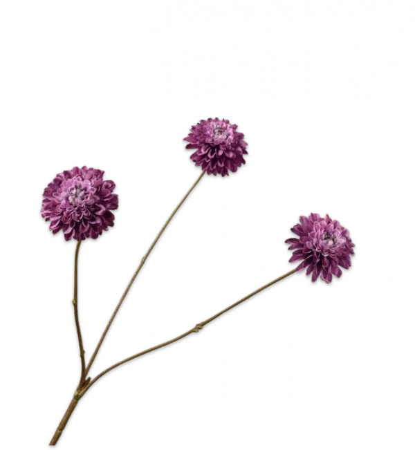 Dahlia tak paars Silk-ka - H65 cm