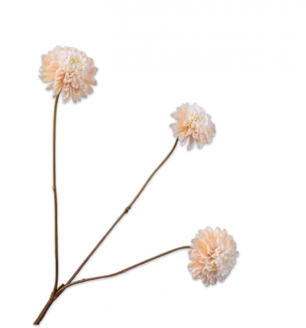Dahlia tak beige Silk-ka - H65 cm