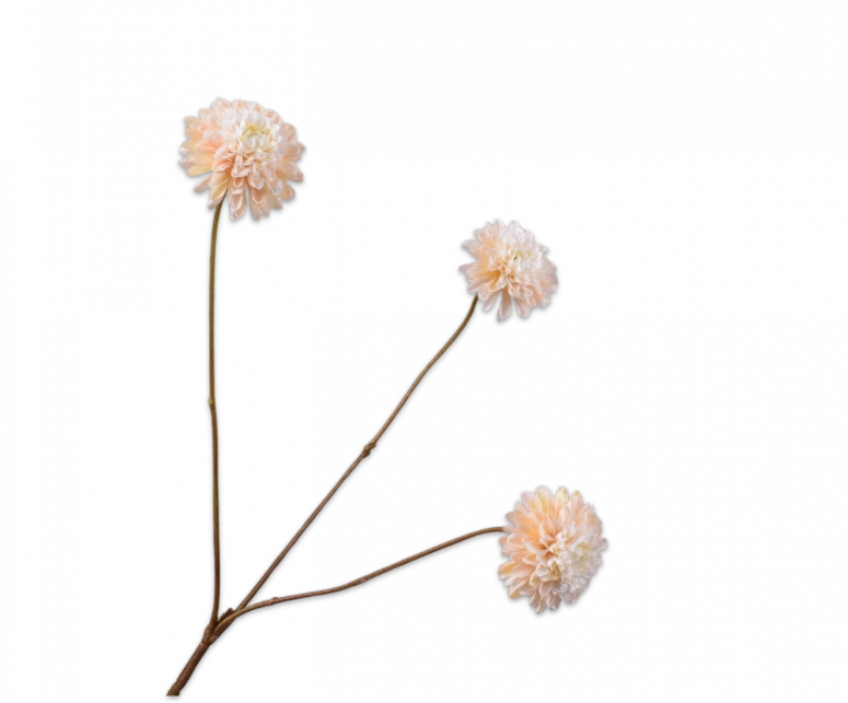 Dahlia tak beige Silk-ka - H65 cm