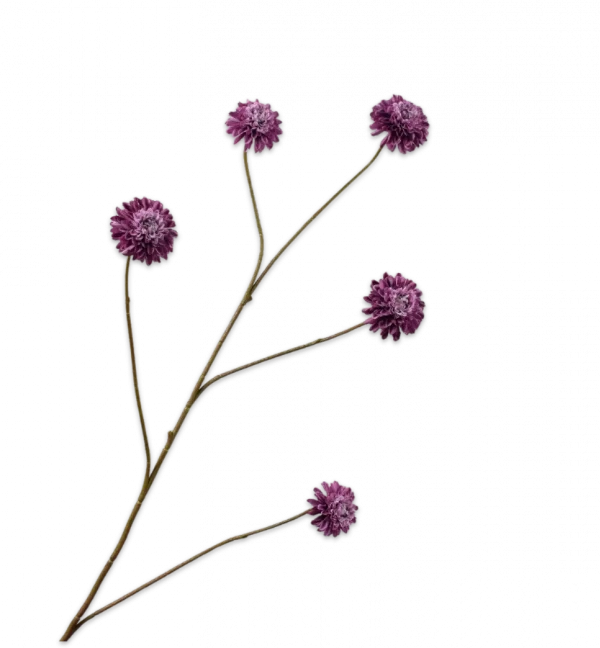 Dahlia tak paars Silk-ka - H90 cm