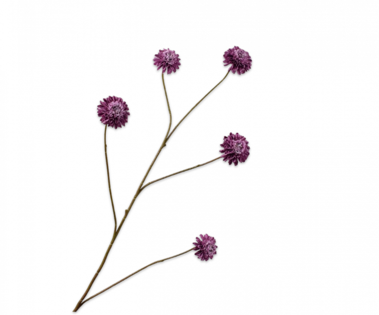 Dahlia tak paars Silk-ka - H90 cm