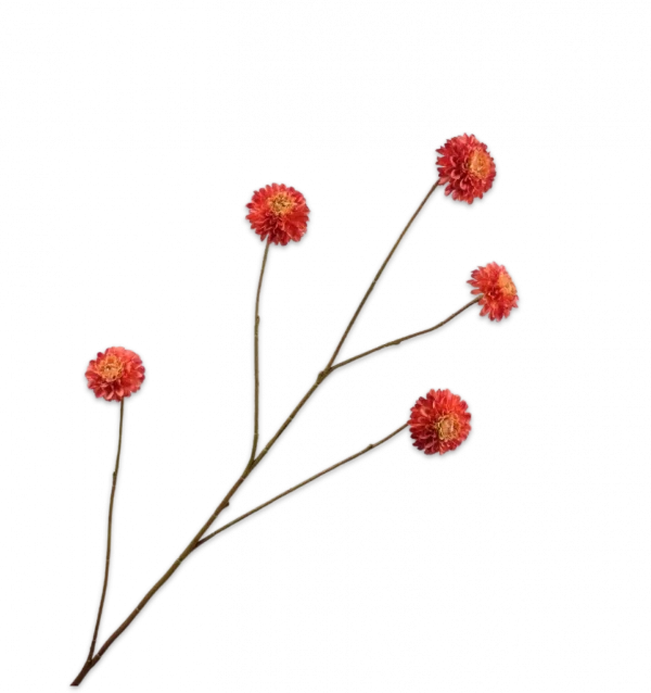 Dahlia tak rood Silk-ka - H90 cm