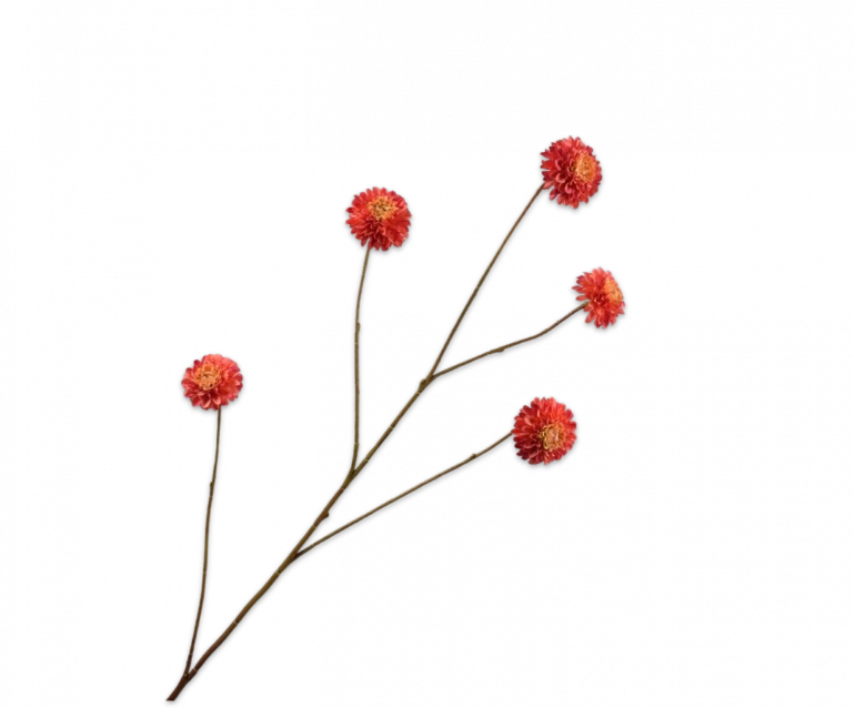 Dahlia tak rood Silk-ka - H90 cm