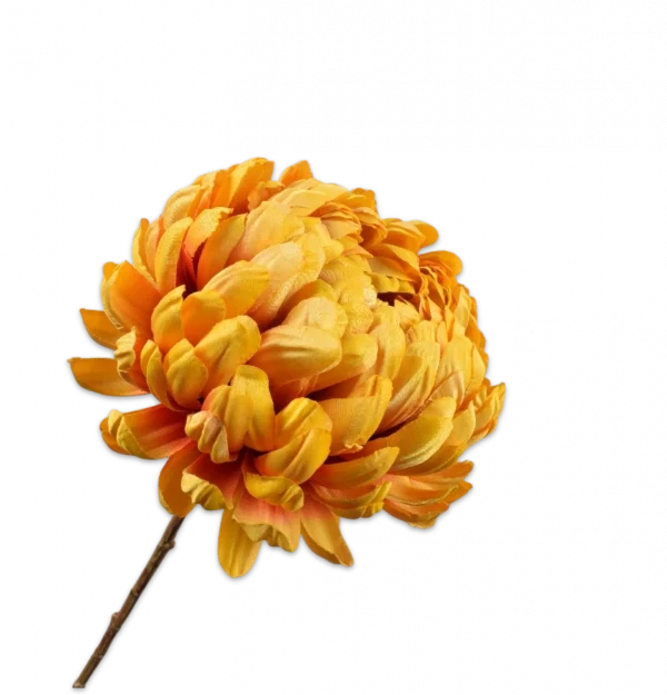 Chrysant geel Silk-ka - H76 cm