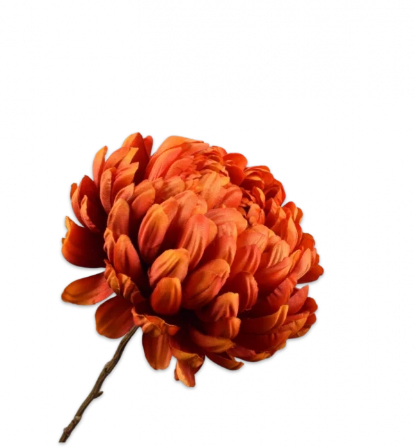 Chrysant rood Silk-ka - H76 cm