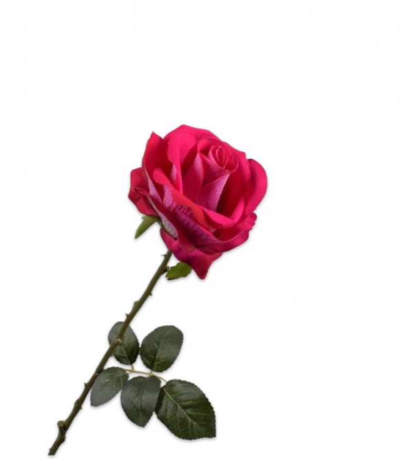 Roos roze Silk-ka - H64 cm