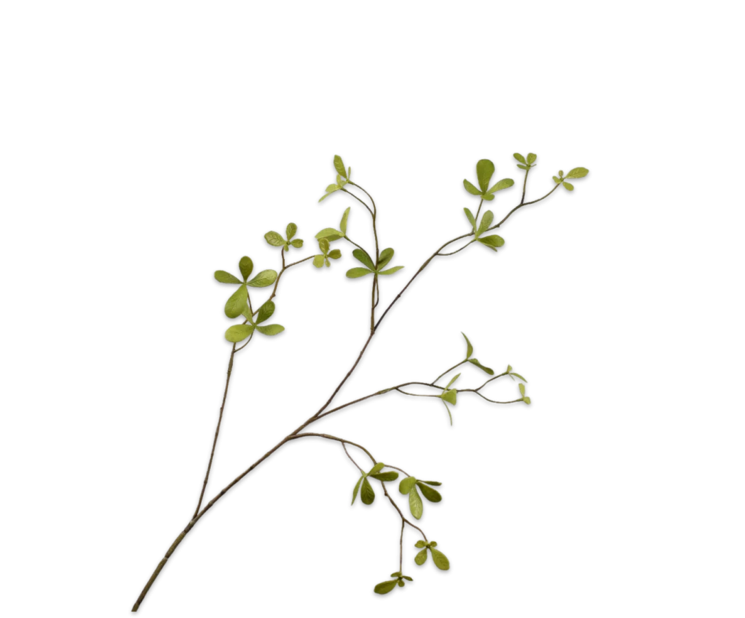 bucida silk-ka groene tak