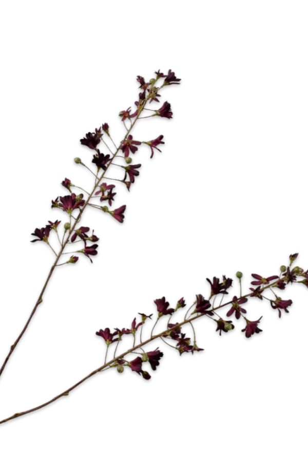 hyacint silk-ka