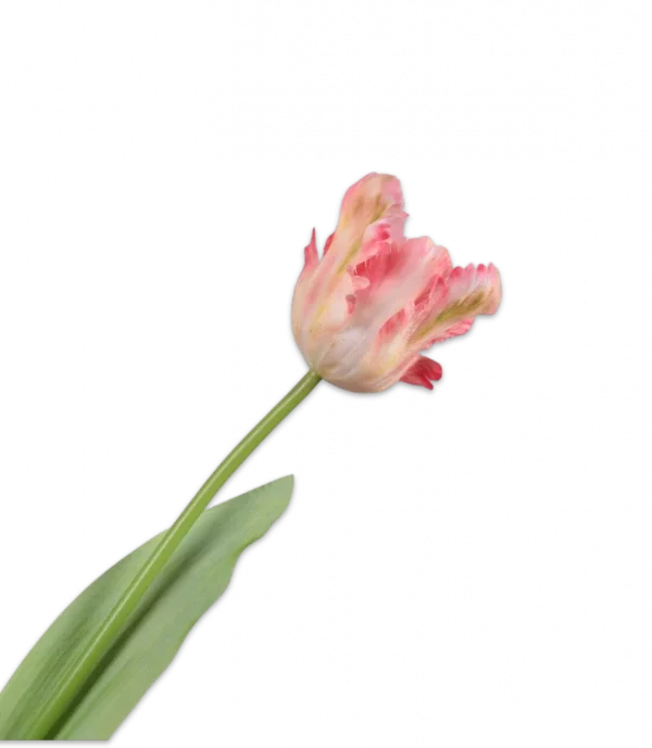 Papegaai tulp licht roze – Silk-ka Real Touch – H61 cm