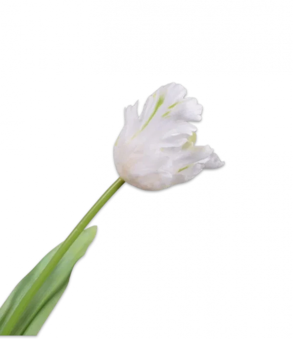Papegaai tulp wit – Silk-ka Real Touch – H61 cm
