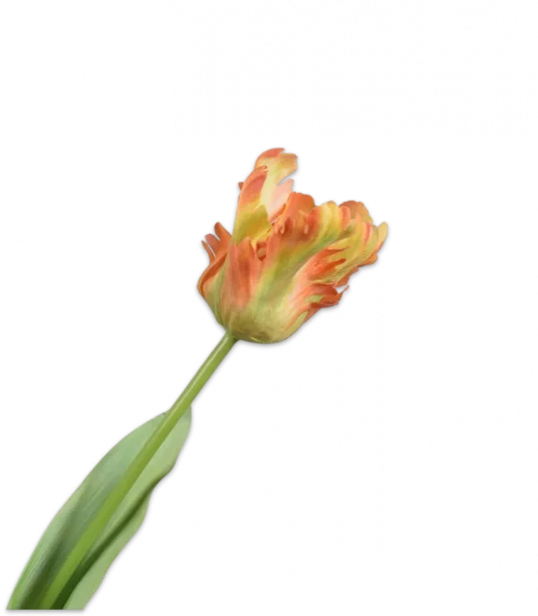 Papegaai tulp oranje - Silk-ka Real Touch - H61 cm