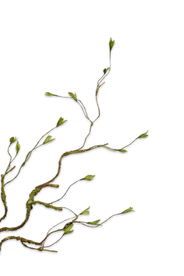 wilgentak silk-ka